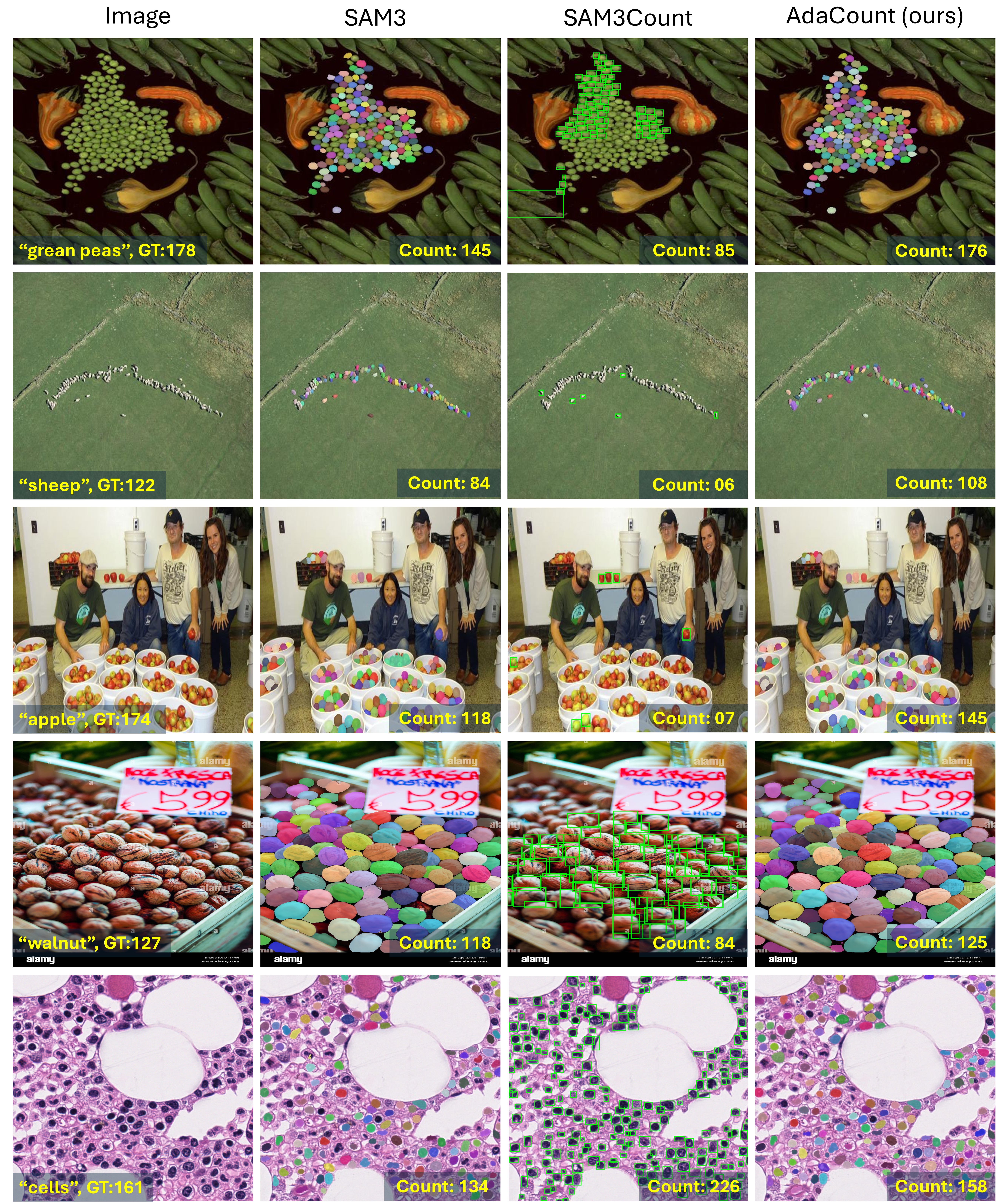 Additional Qualitative Results